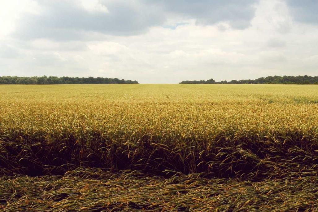 In voluptatem ipsum sit et consequatur eveniet incidunt nihil ut aut